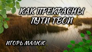 Как  прекрасны пути Твои 