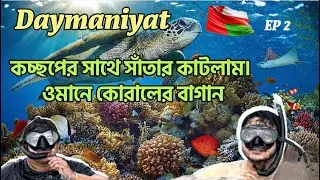 'The JEWEL of the MIDDLE EAST' Daymaniyat Islands | The Maldives of Middle East | Oman Bangla Vlog