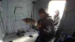 I got SCHOOLED! Lake Simcoe Whitefish BONANZA!