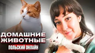 животные в Польше/Polska Lera