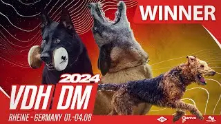 Winner / VDH-DM IGP 2024 / Klaus Gedicke / Anton von der lichten Tanne / workin-dog