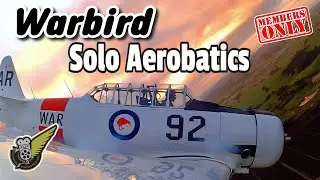 Onboard During Aerobatics In North American Harvard