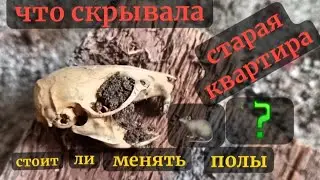 Стоит ли менять деревянные полы?