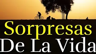 LA VIDA Te Sorprende ¦ Reflexión, Motivación, Gratitud