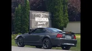2003 Mustang Mach 1   July 4, 2021