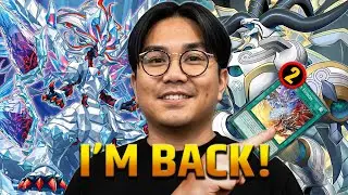 MY FAVORITE FUSION DECK | Branded Dracotail Deck Profile