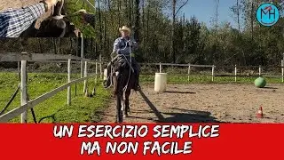 Un esercizio semplice ma non facile - segui il recinto