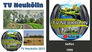 Seifen 1995