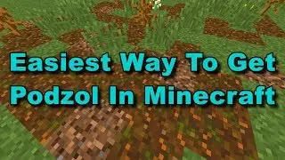 Easiest Way To Get Podzol In Minecraft!