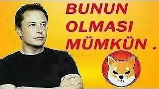 SHİBA COİN ALARM..