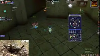 Fiesta Online black coffin cc