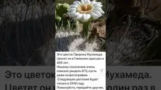 16 марта 2023 г.