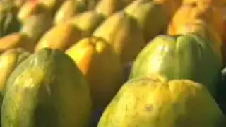 As frutas do Cerrado