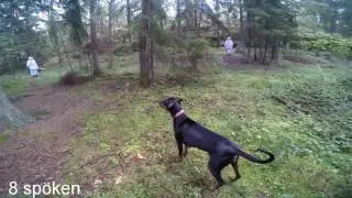 GoPro Sally MH