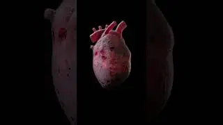 Solitary Heart | Houdini