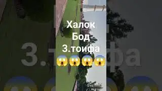 Хочи Мирзо