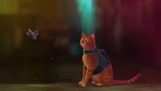 2D Animation - Stray - by Amayensis