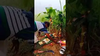 Bhumi hunnime🌕Bhumi thayige simantha💚🌿🌱🌴
