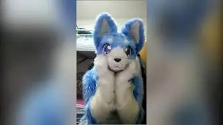 [TikTok] 學貓叫 Meow Meow~!