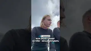Погружение с акулами-людоедами😳😳😳😳 Выживу ли я ???