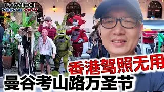 确认香港驾照在泰国不能直接使用，大陆人就别办别再上当了！曼谷考山路上的万圣节【罗宾VLOG】