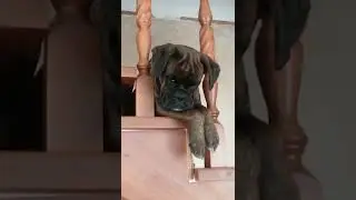 Какова красота?!