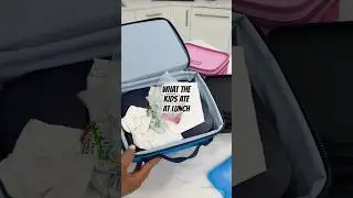 What the kids ate out of their lunchboxes