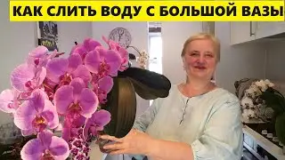 ВЫРАЩИВАНИЕ ОРХИДЕИ..КАК СЛИТЬ ВОДУ С БОЛЬШОЙ ВАЗЫ
