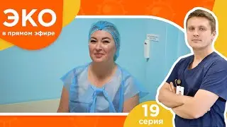 ЭКО в прямом эфире - 19 серия - Перенос эмбриона