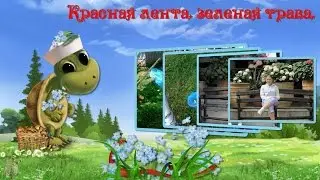 Красная лента, зеленая трава.