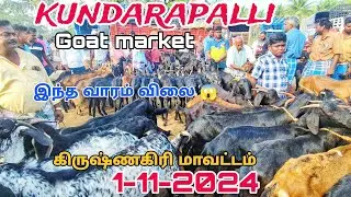 1-11-2024 #kundarapalli Friday market Krishnagiri district @TN24_sakthi_vlogs