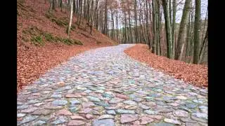 Olovni Vojnici - Sjećam se
