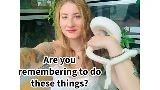 Reptile Maintenance Check In