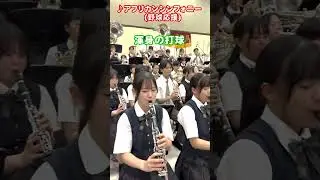 アフリカン・シンフォニー(野球応援)【大阪桐蔭高校吹奏楽部】