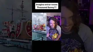 E se rolasse um cruzeiro no Thousand Sunny? 