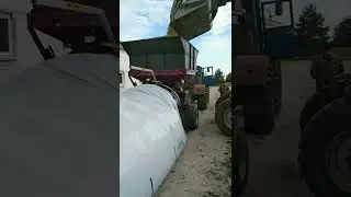 ПЛЮЩЕНИЕ ЗЕРНА 1.08.2022