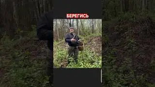МЕСТО ГДЕ ВЫРАЩИВАЮТ ПЕЧЕНЬ ! Комплекс апартаментов НИЗИНА СИТИ !🤣