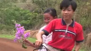 HOA BANG LANG