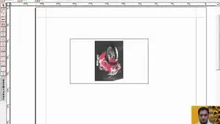 How to Import and Export Picture in Urdu Inpage