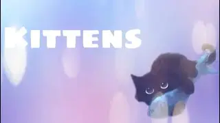 Kitties