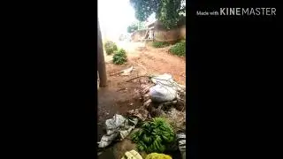 buying vegetables from village || African small village life || visit Africa | mtq travels