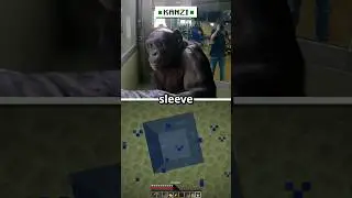 First Ape to Beat Minecraft!