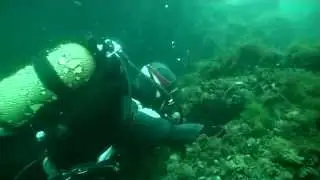 г Ильичёвск  Трагедия на море, дайвинг