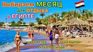 ЛУЧШИЙ месяц для ОТДЫХА в Египте🇪🇬⁉️ НИЗКАЯ ЦЕНА, тёплое МОРЕ. Когда НАДО лететь в Египет!