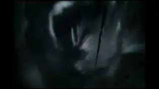 Harry Potter: Apparate - Disapparate : Apparition - Disapparation