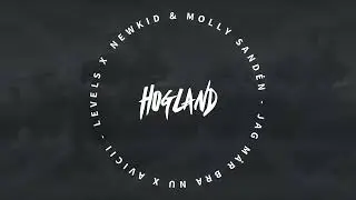 Newkid & Molly Sandén VS Avicii - Jag Mår Bra Nu X Levels (Hogland Mashup) [Swedish Mashup]