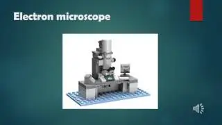 5 Important Types of Microscopes used in Biology