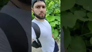 #Можетемненеверить но это #ходьба ! Вот видите как я делаю ?