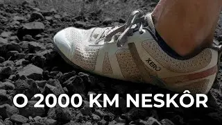 Xero Prio Neo - recenzia po 2000 km