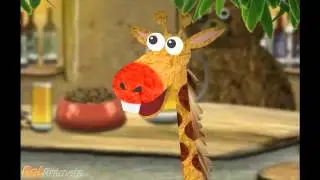 animals
